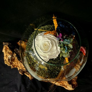 CÚPULA CON FLORES PRESERVADAS