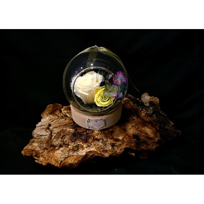 CÚPULA PEQUEÑA CON ROSA PRESERVADA