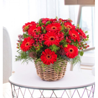 CESTA DE GERBERAS ROJAS