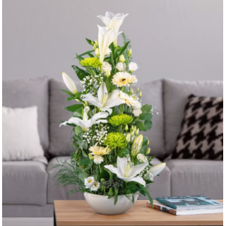 CENTRO NACIMIENTO BLANCO